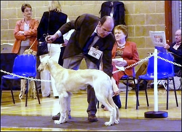 tammas at NSC Champ 2011